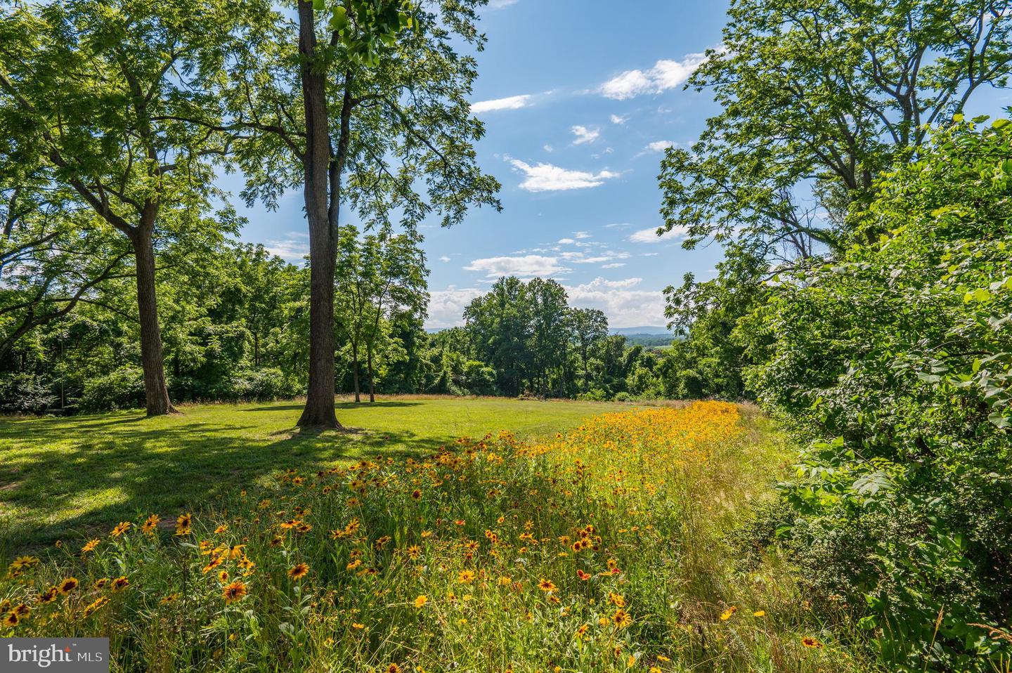 18463 Rustling Woods Ct