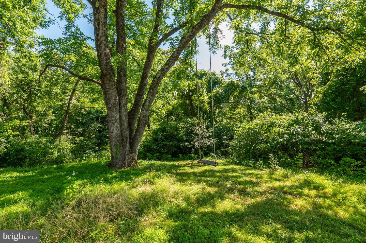 18463 Rustling Woods Ct