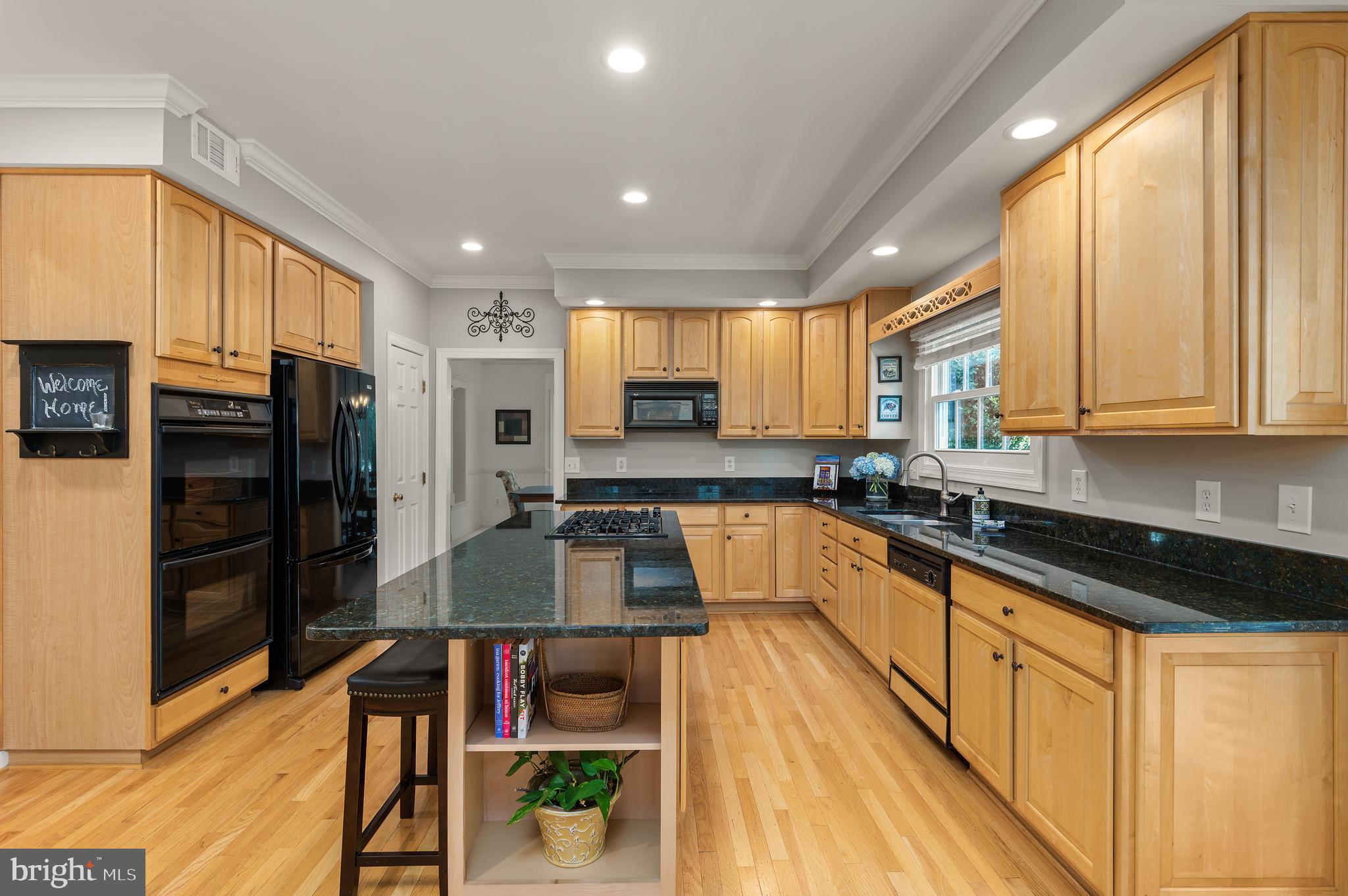 43431 Turnberry Isle Ct