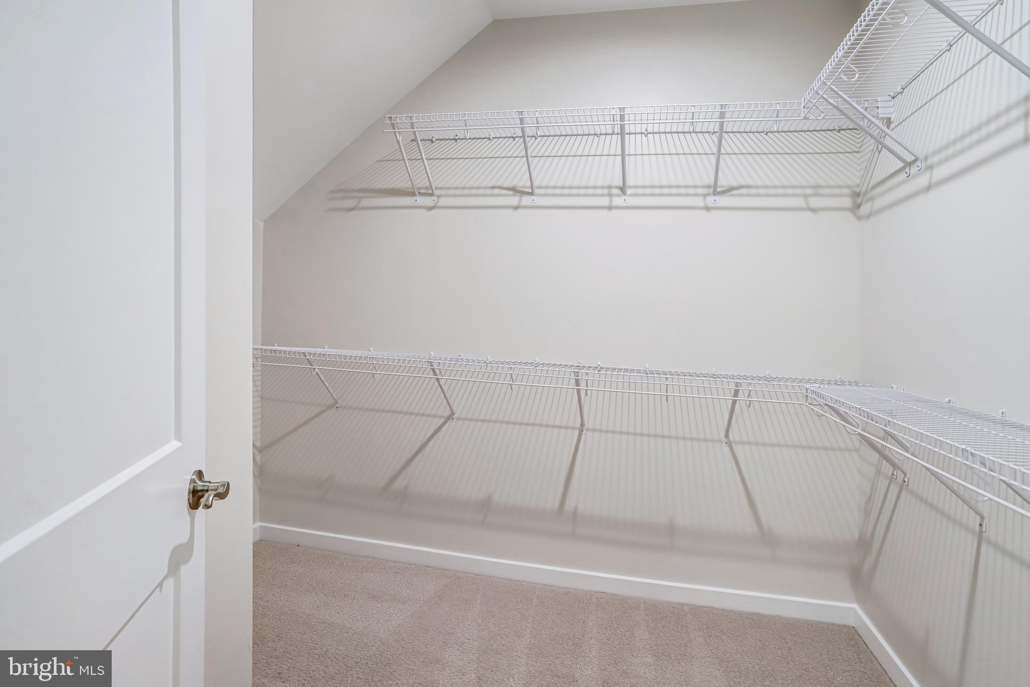 44499 WOLFHOUND SQUARE