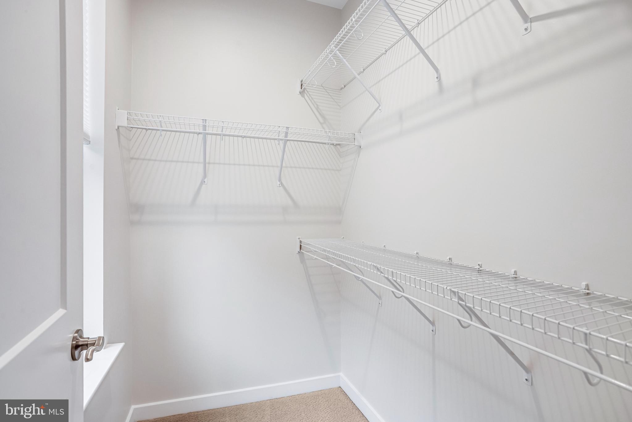 44499 WOLFHOUND SQUARE