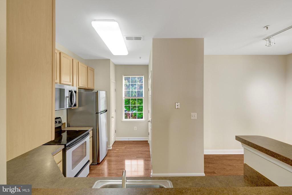 22710 BLUE ELDER TERRACE 203