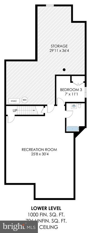Lower-level floor plan with a large recreation room, bedroom, storage area, and bathroom.