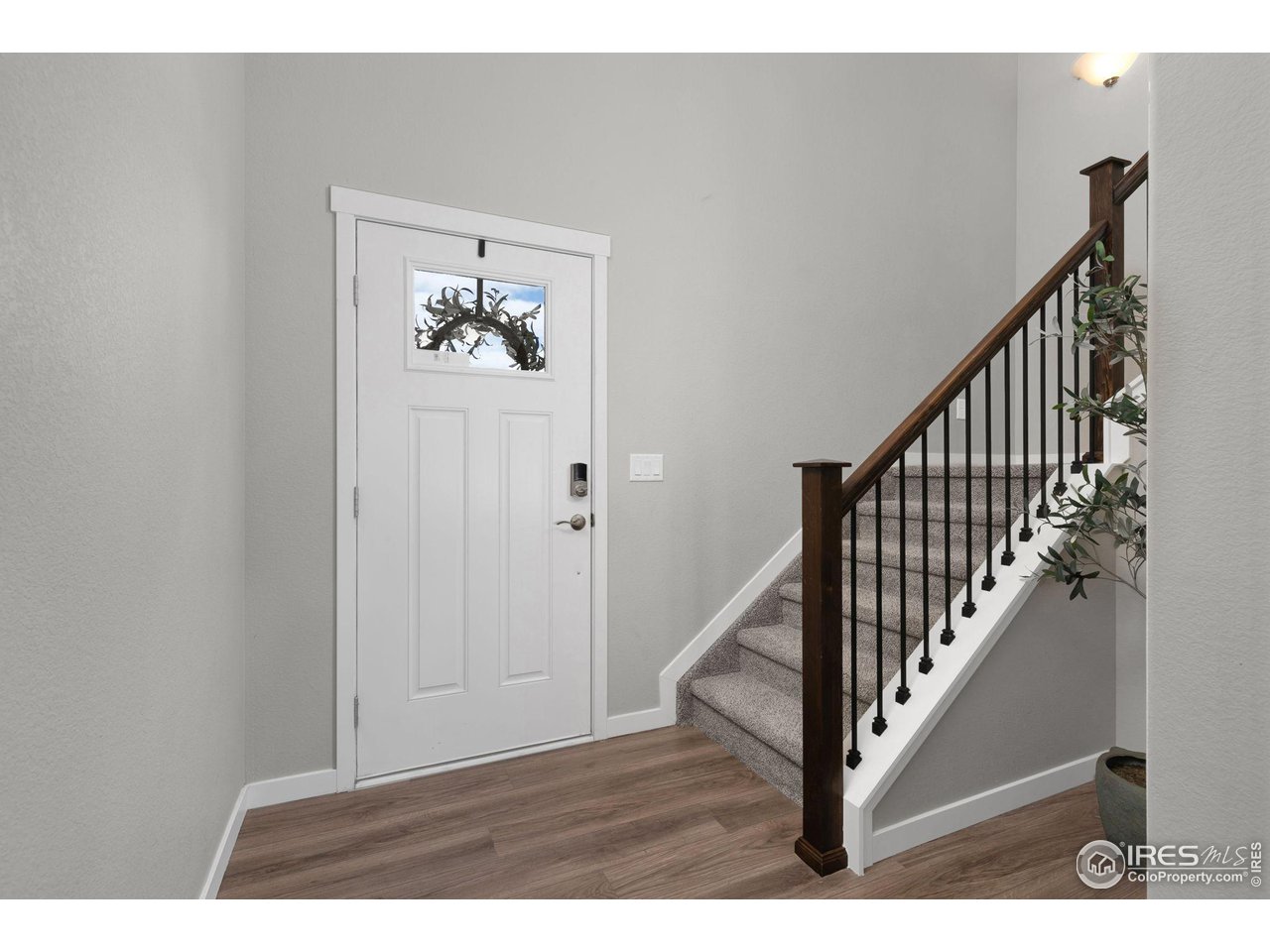 1229 Lily Mountain Rd