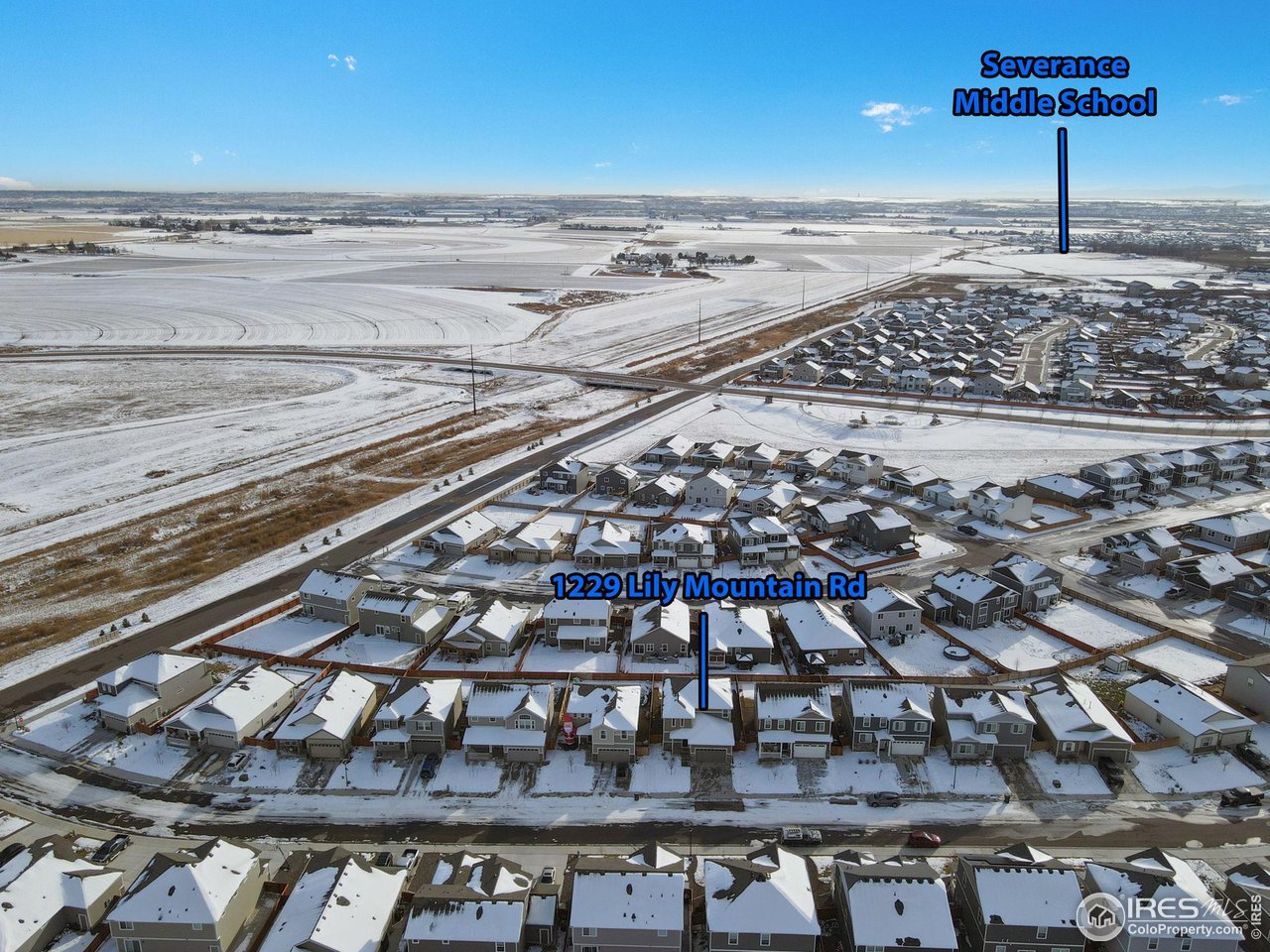 1229 Lily Mountain Rd