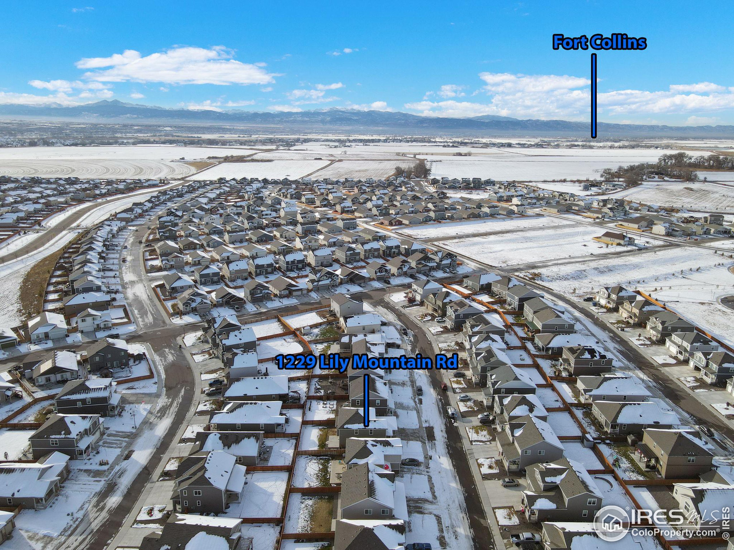 1229 Lily Mountain Rd