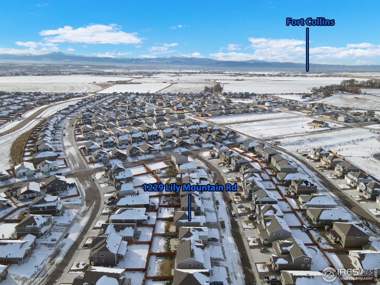 1229 Lily Mountain Rd