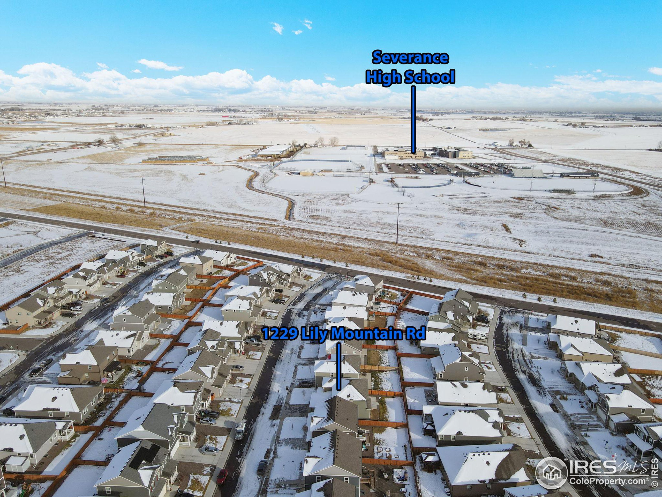 1229 Lily Mountain Rd