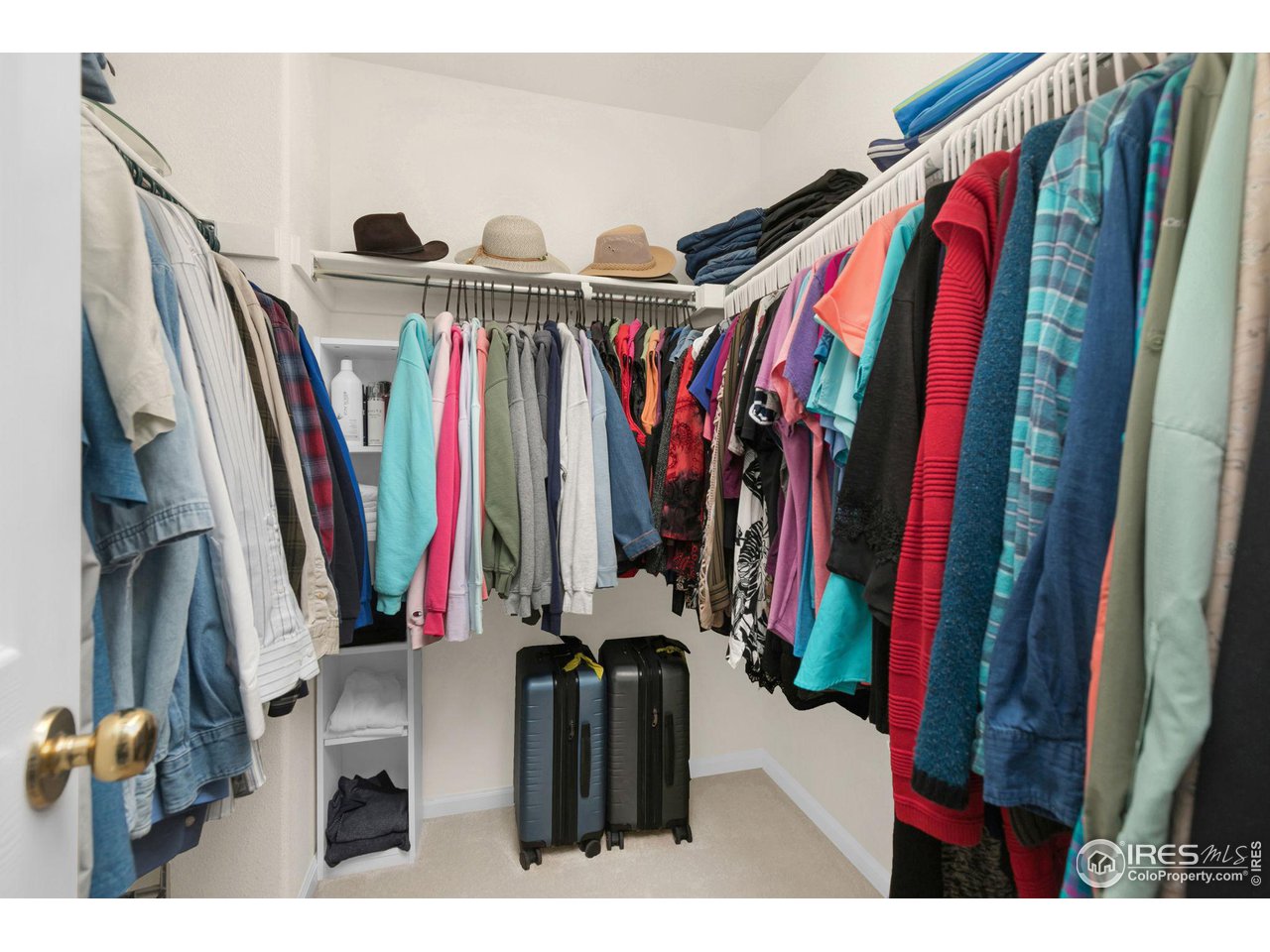 1528 Prairie Hawk Dr