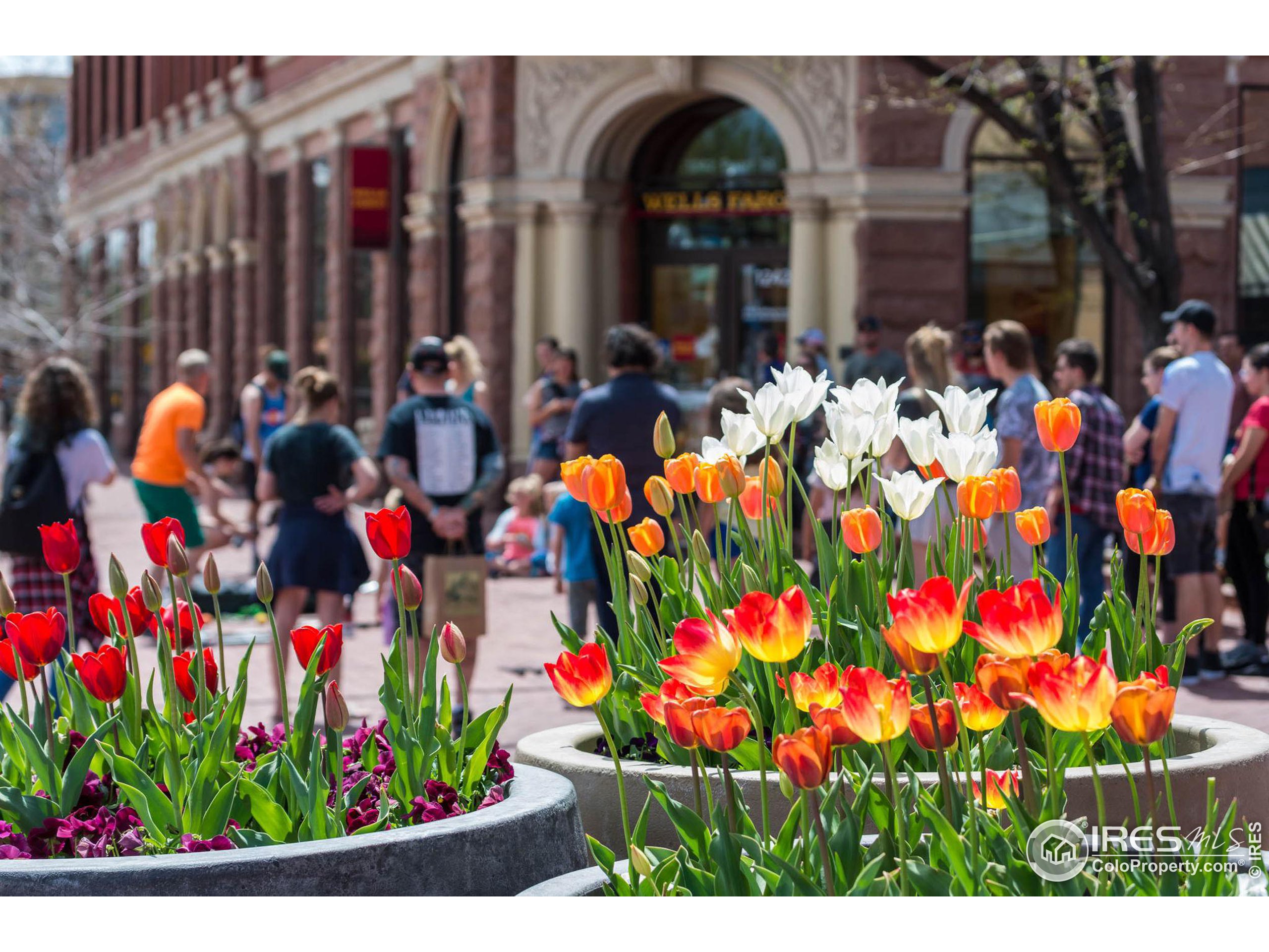 2058 Walnut St Unit: A