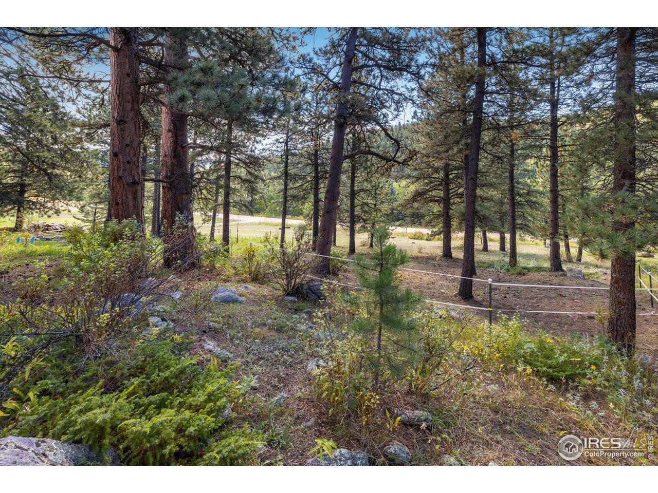 845 Cold Springs Rd