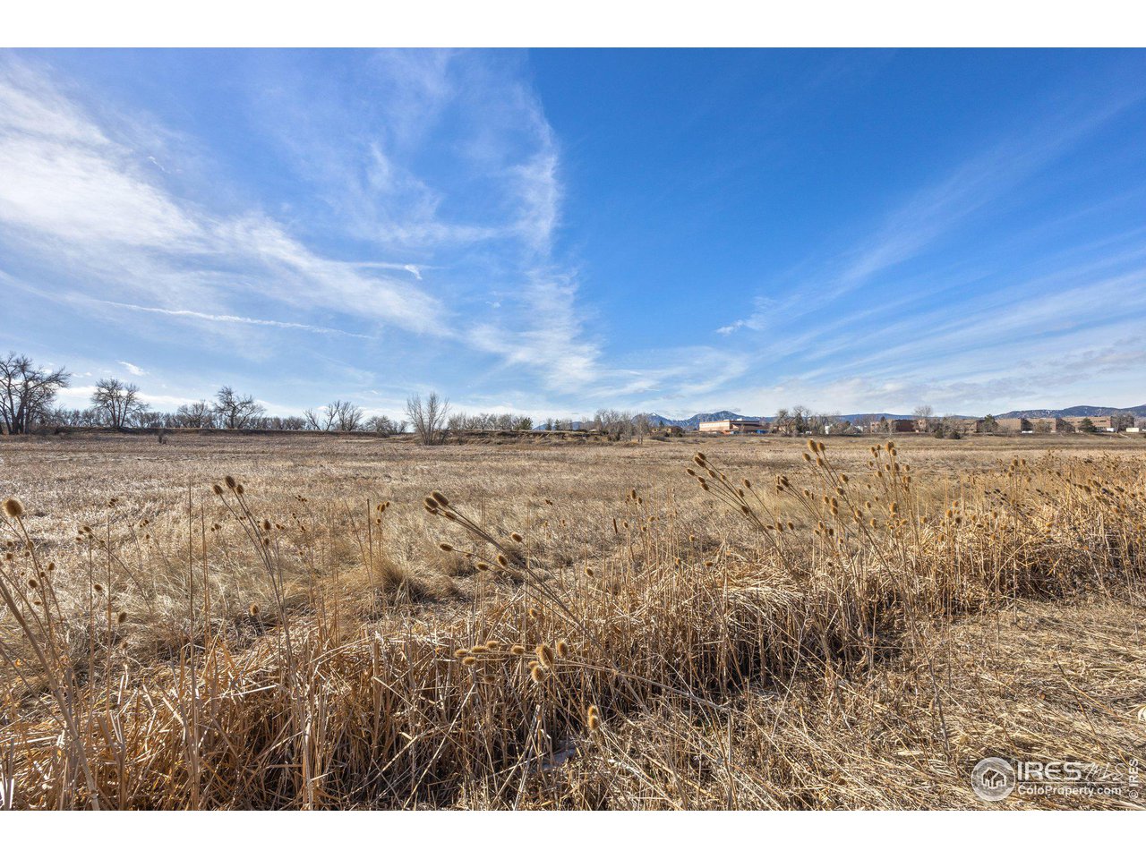 5116 Williams Fork Trl 108