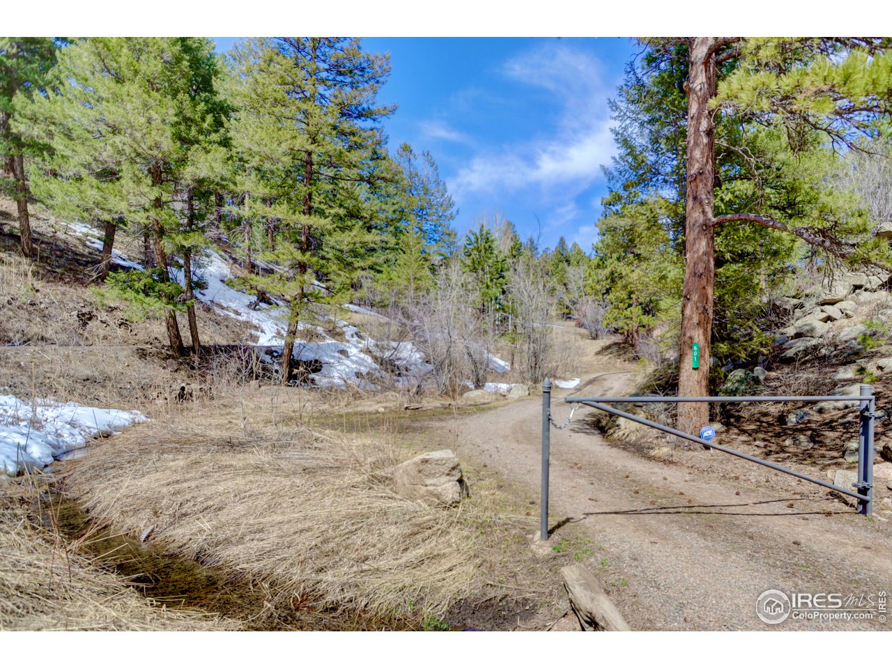 601 Pika Rd