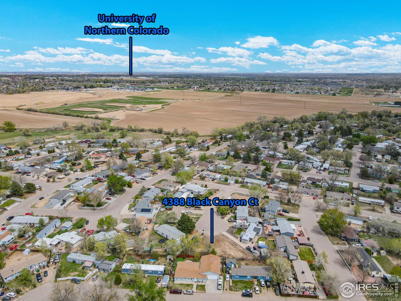 4388 Black Canyon Ct