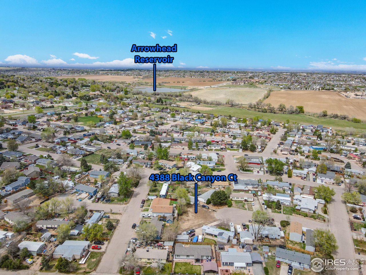 4388 Black Canyon Ct