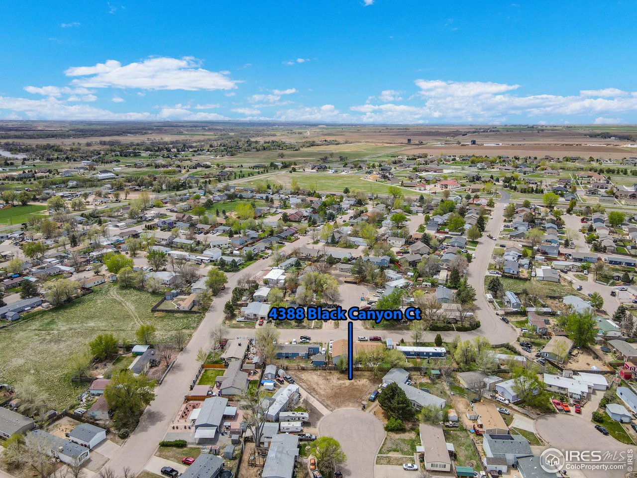 4388 Black Canyon Ct
