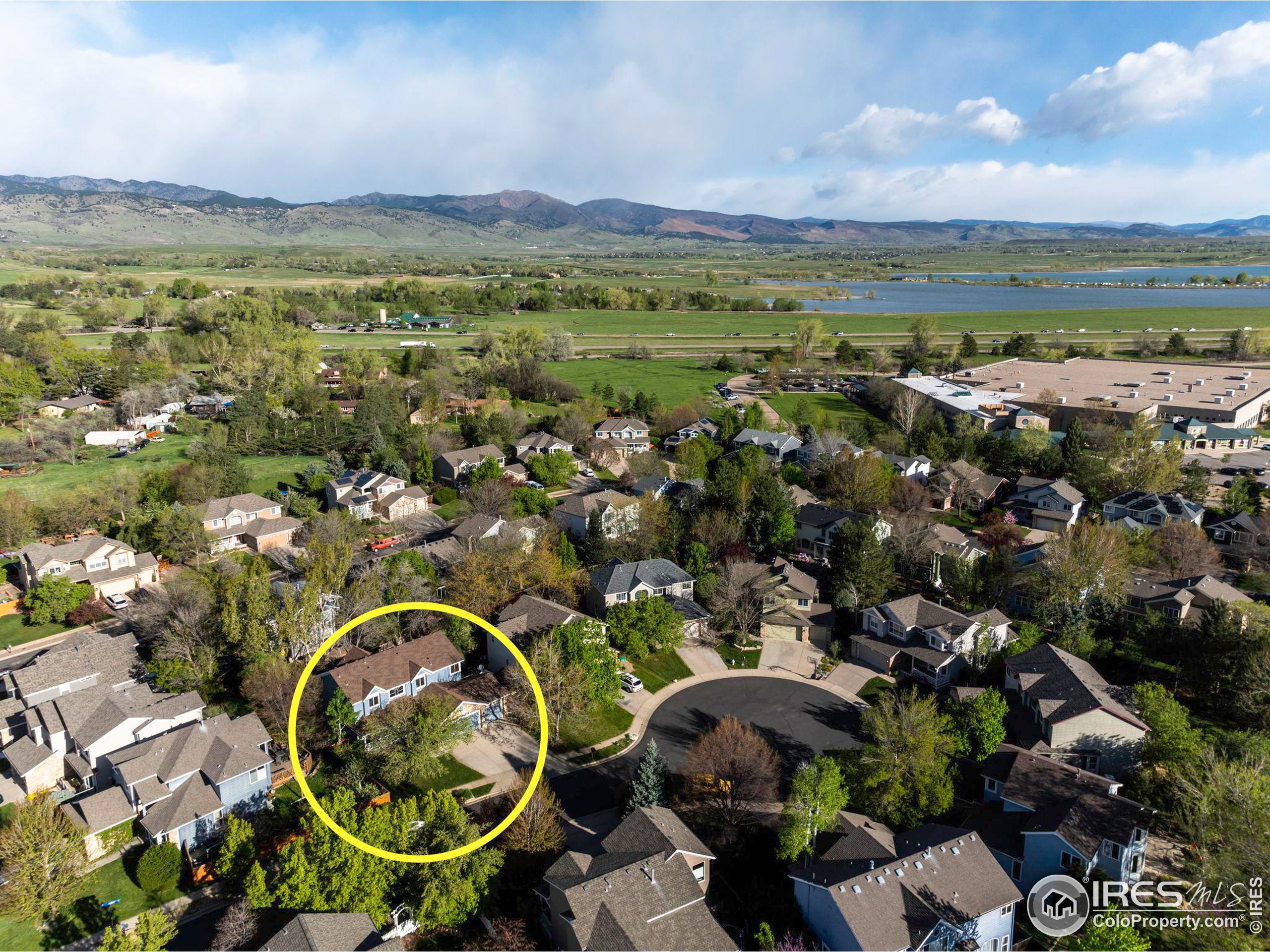 4553 Pussy Willow Ct