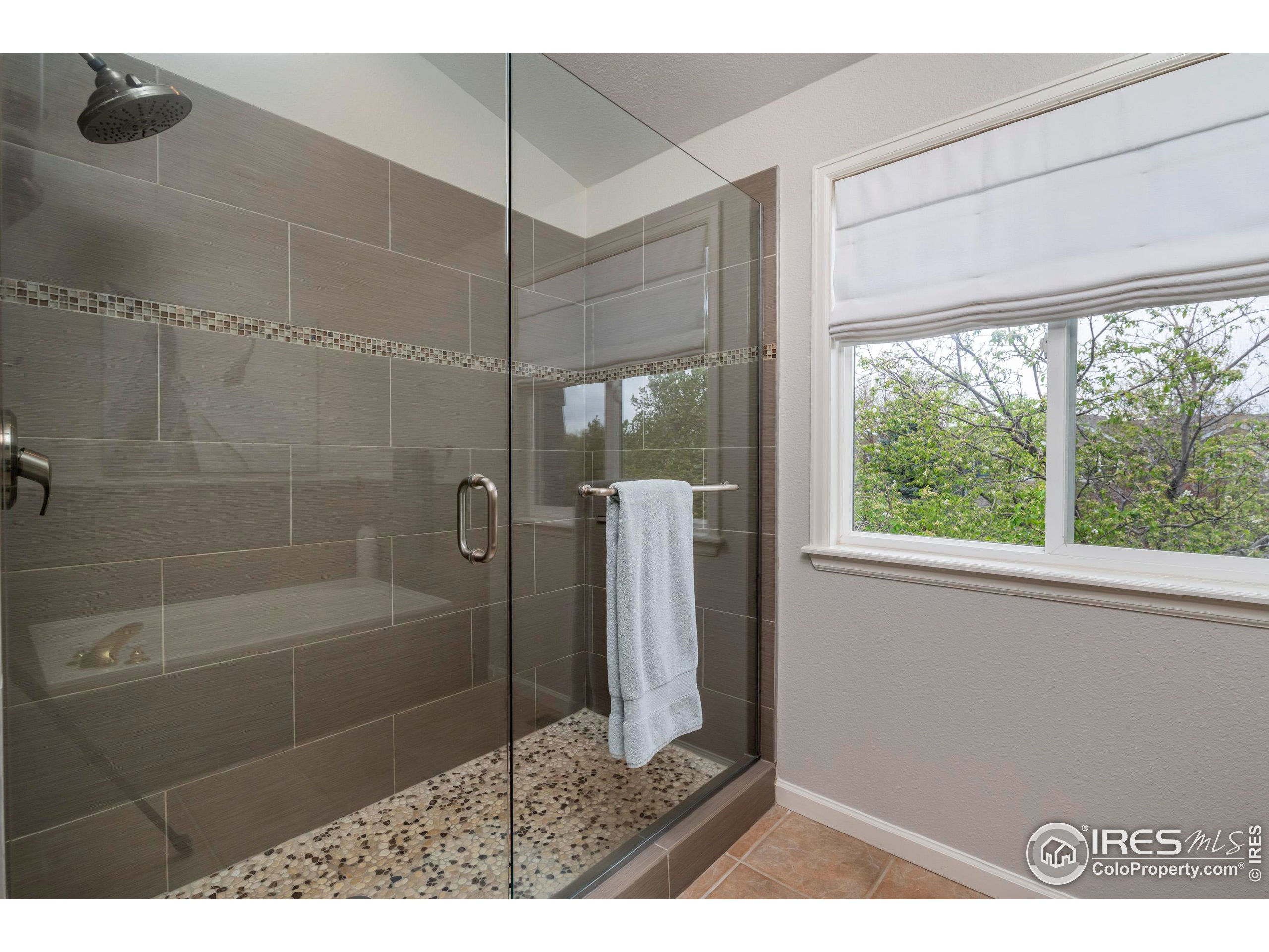 4553 Pussy Willow Ct