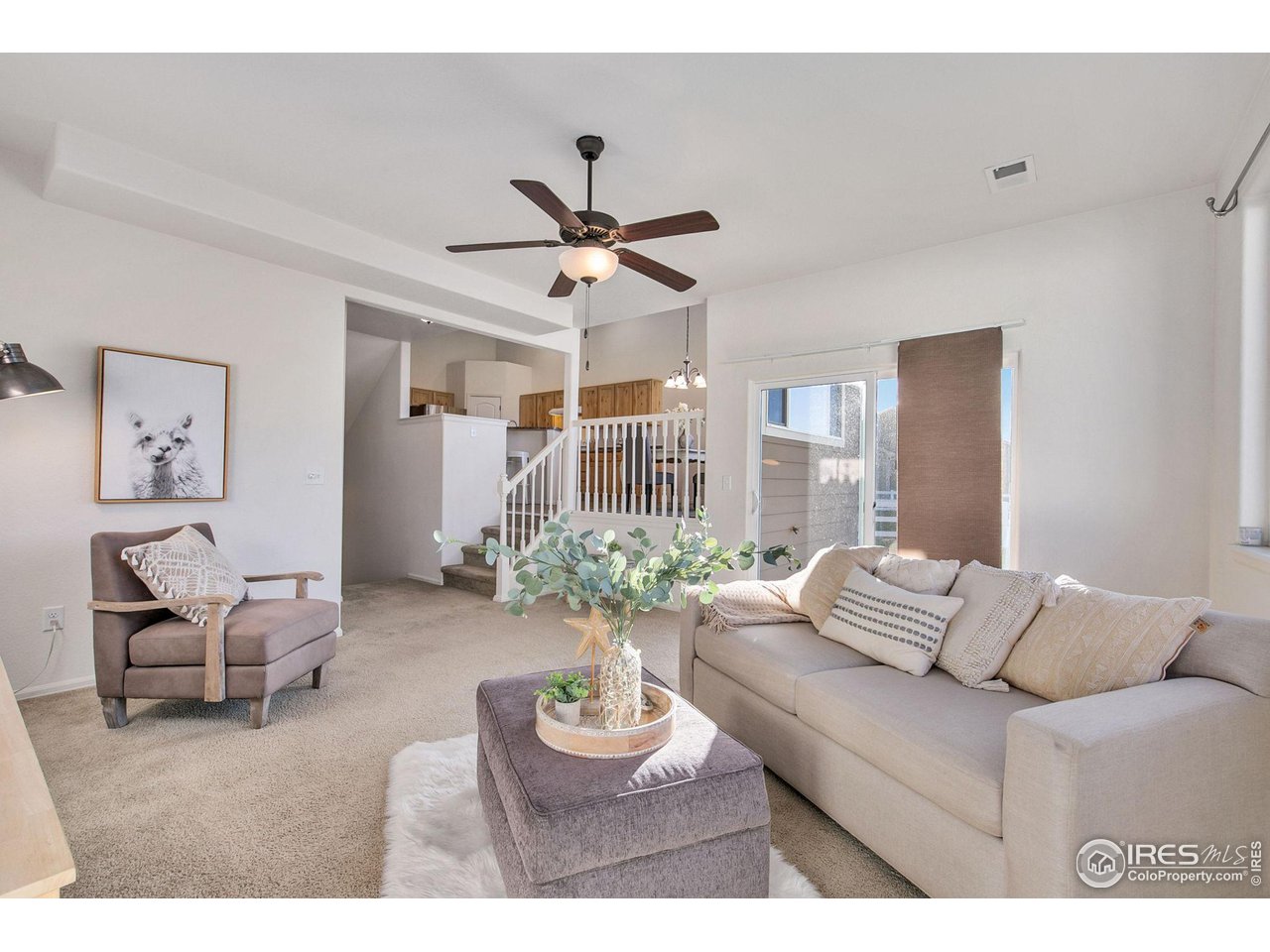 602 Park Edge Cir