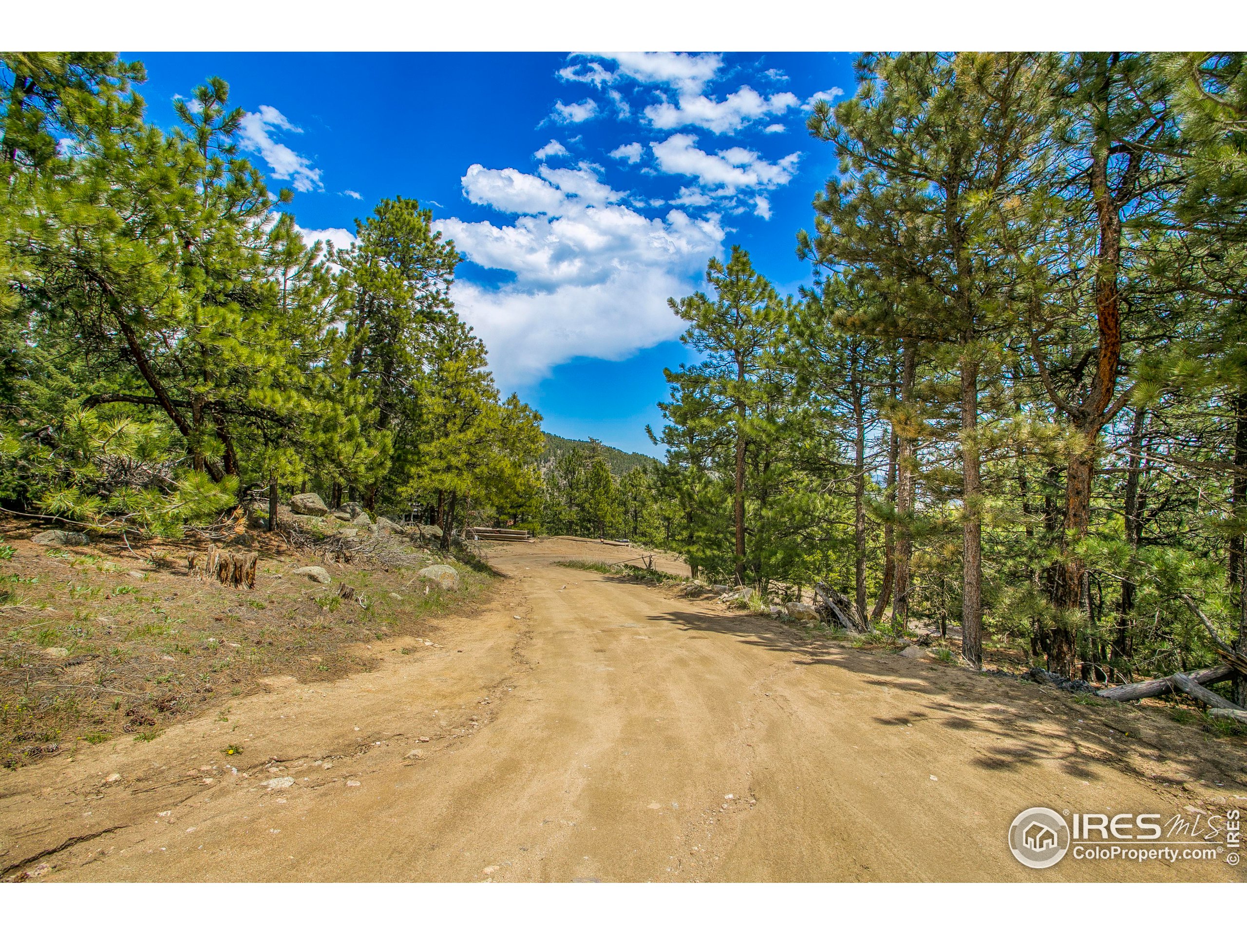 588 Millionaire Dr W