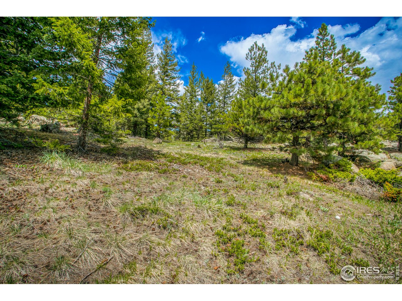 588 Millionaire Dr W