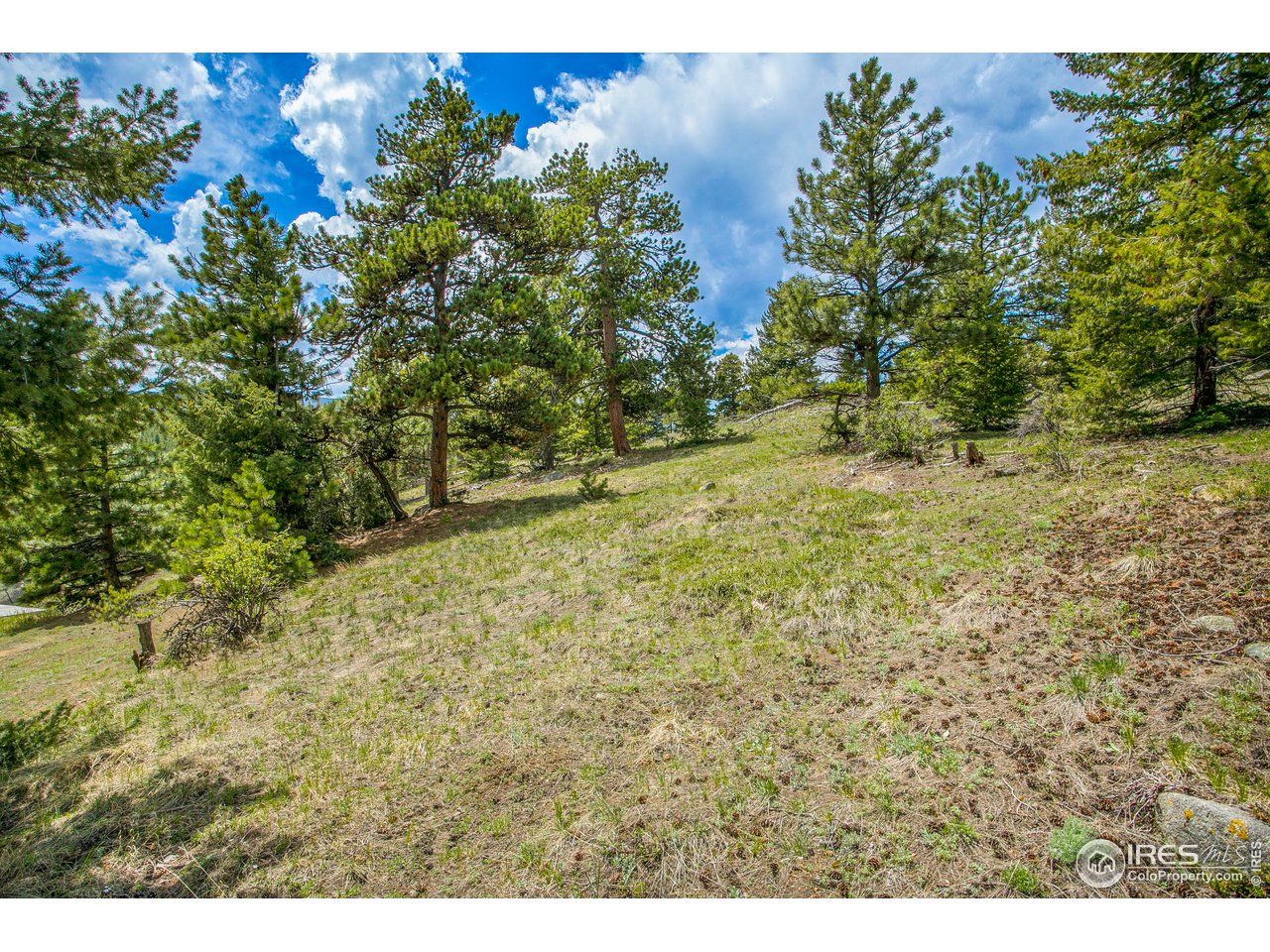 588 Millionaire Dr W