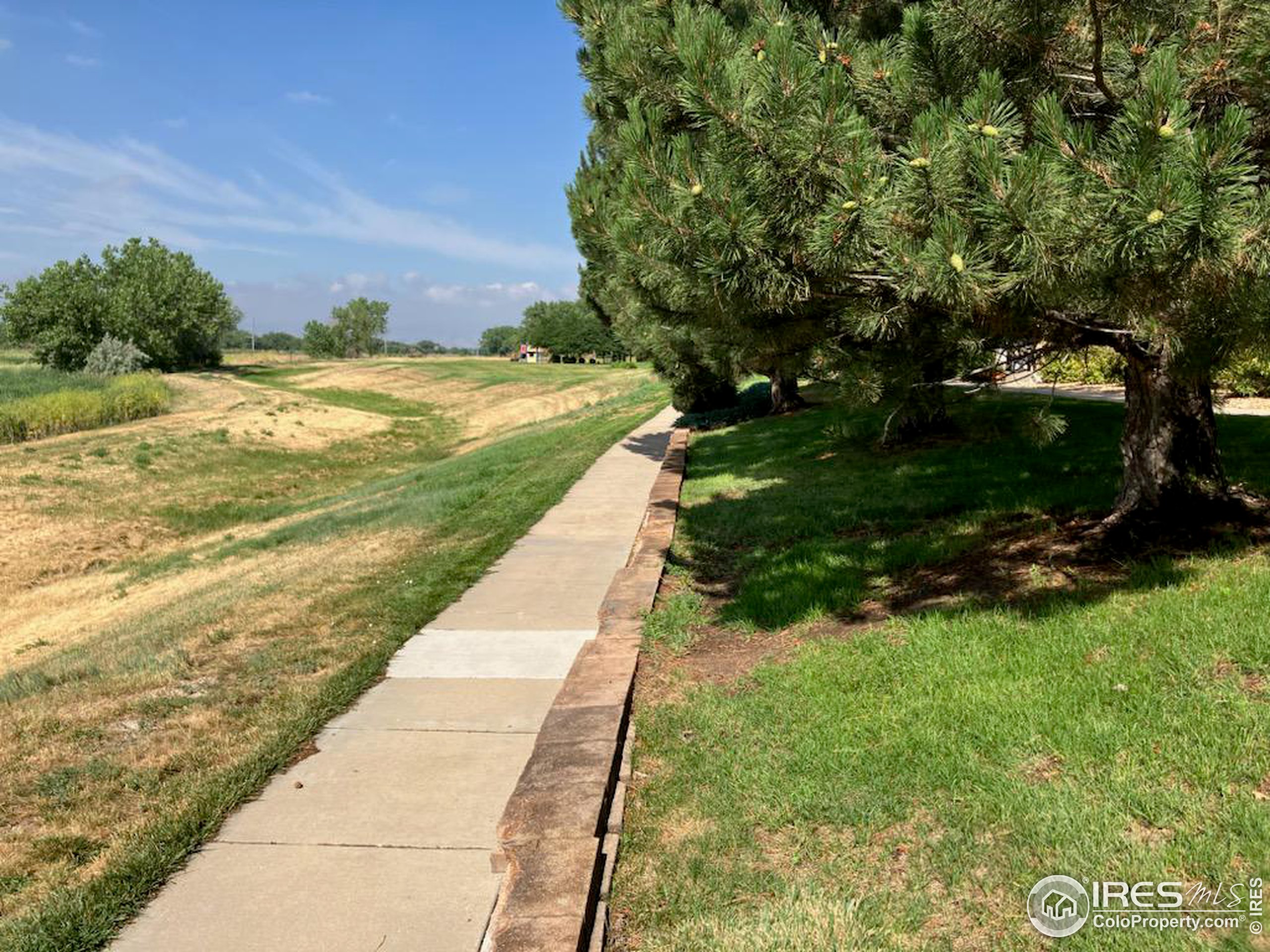 1601 Great Western Dr L-8