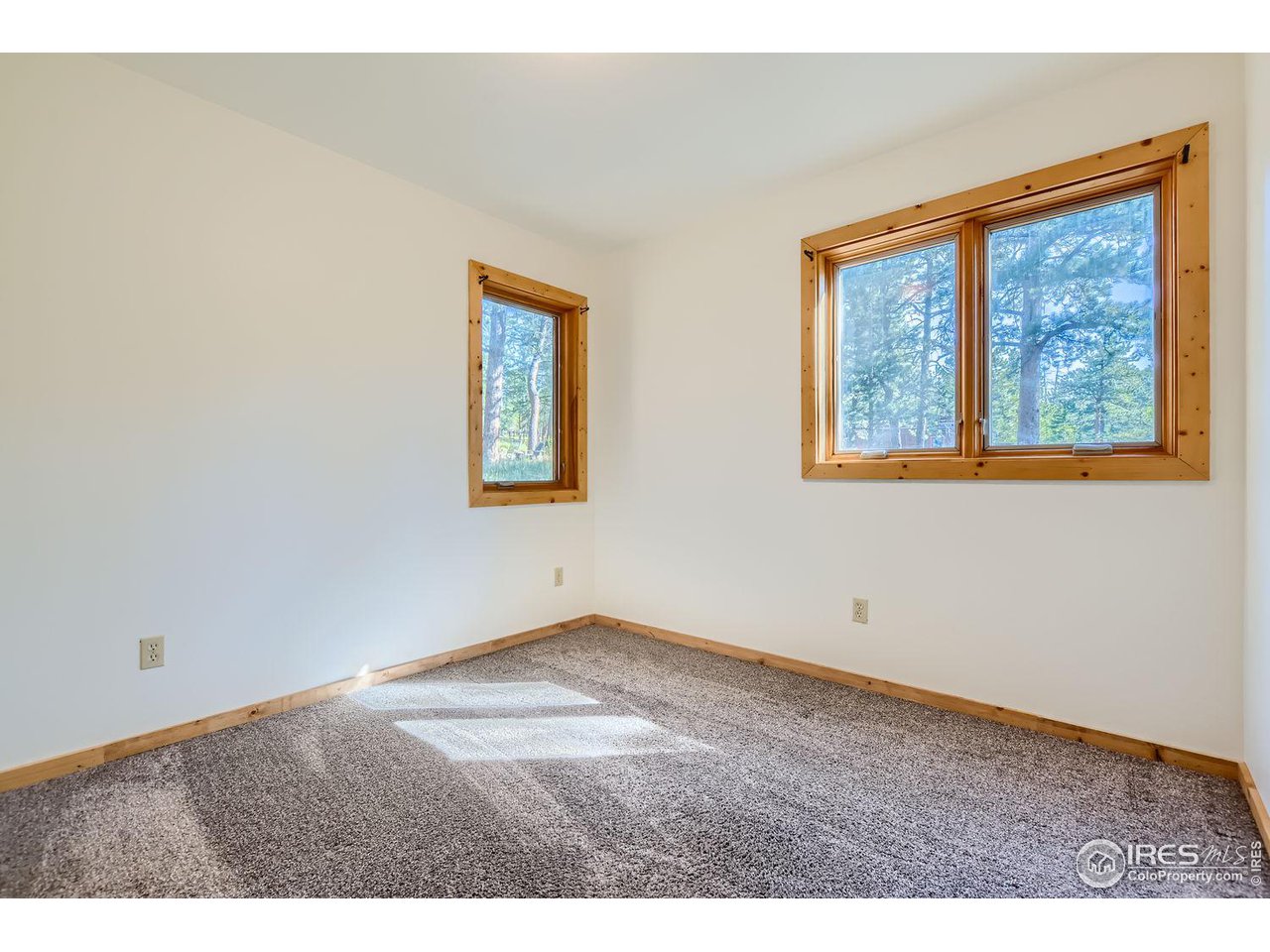 113 Bramer Rd