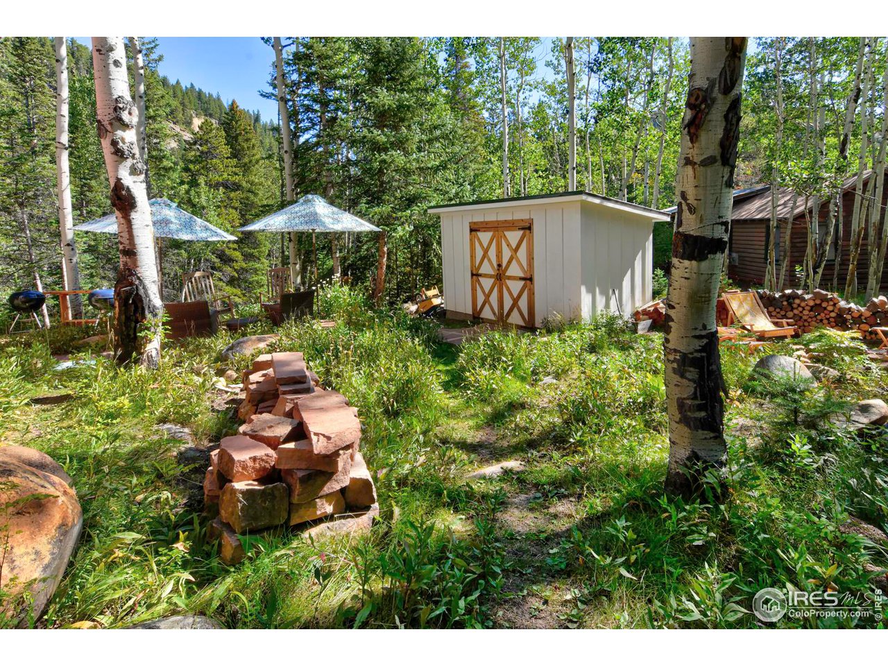 349 Peaceful Valley Rd