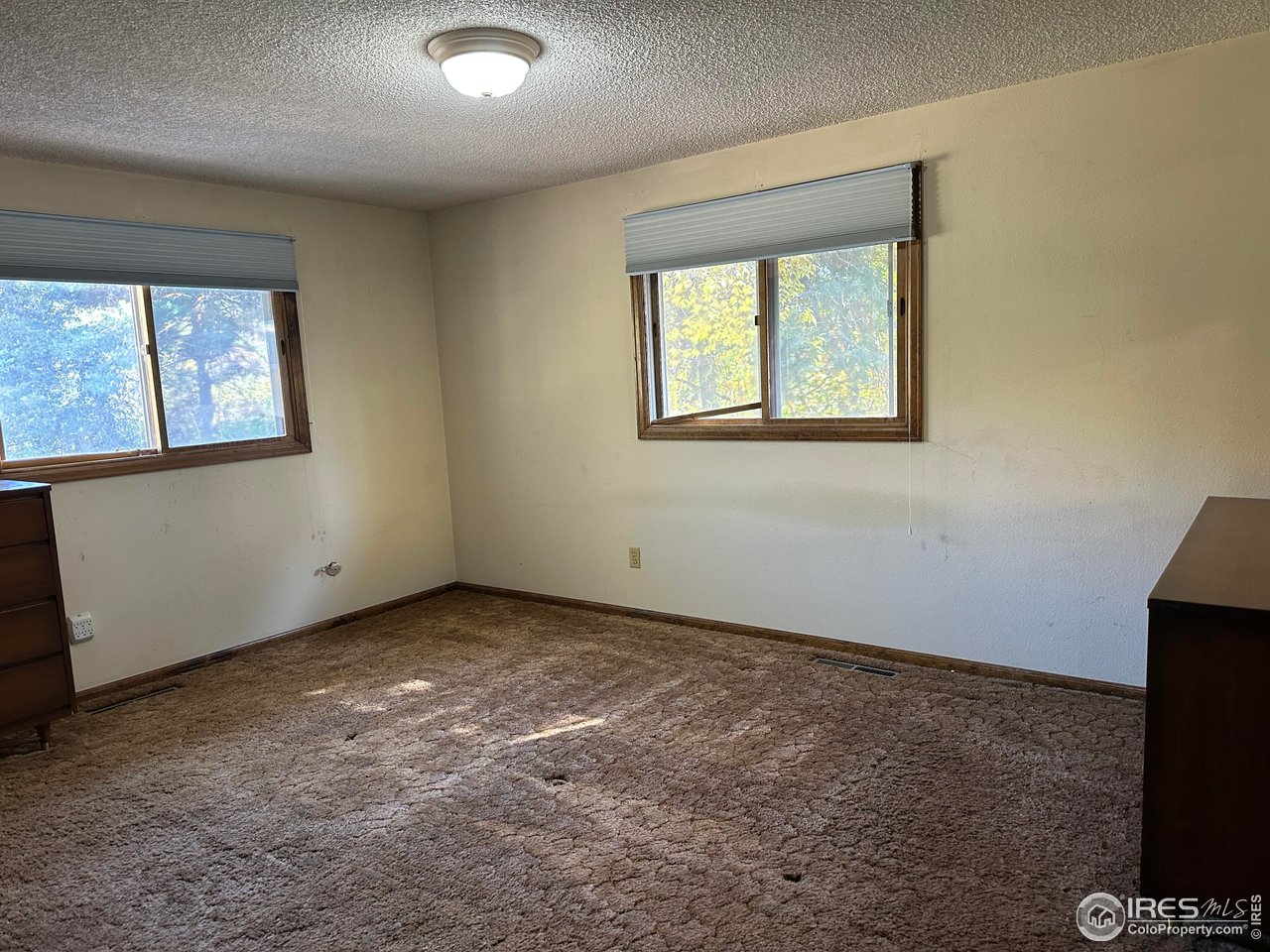 5506 Bitterbush Way