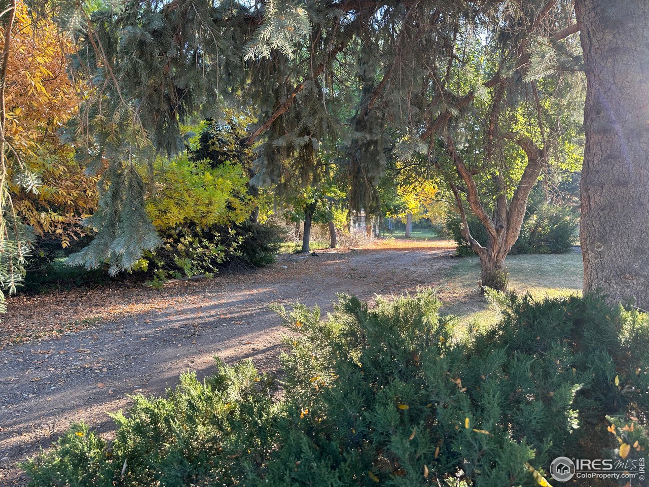 5506 Bitterbush Way
