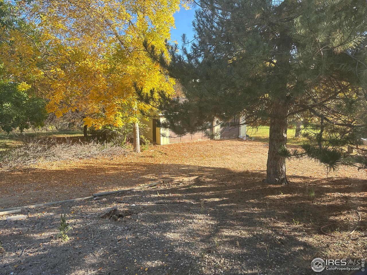 5506 Bitterbush Way