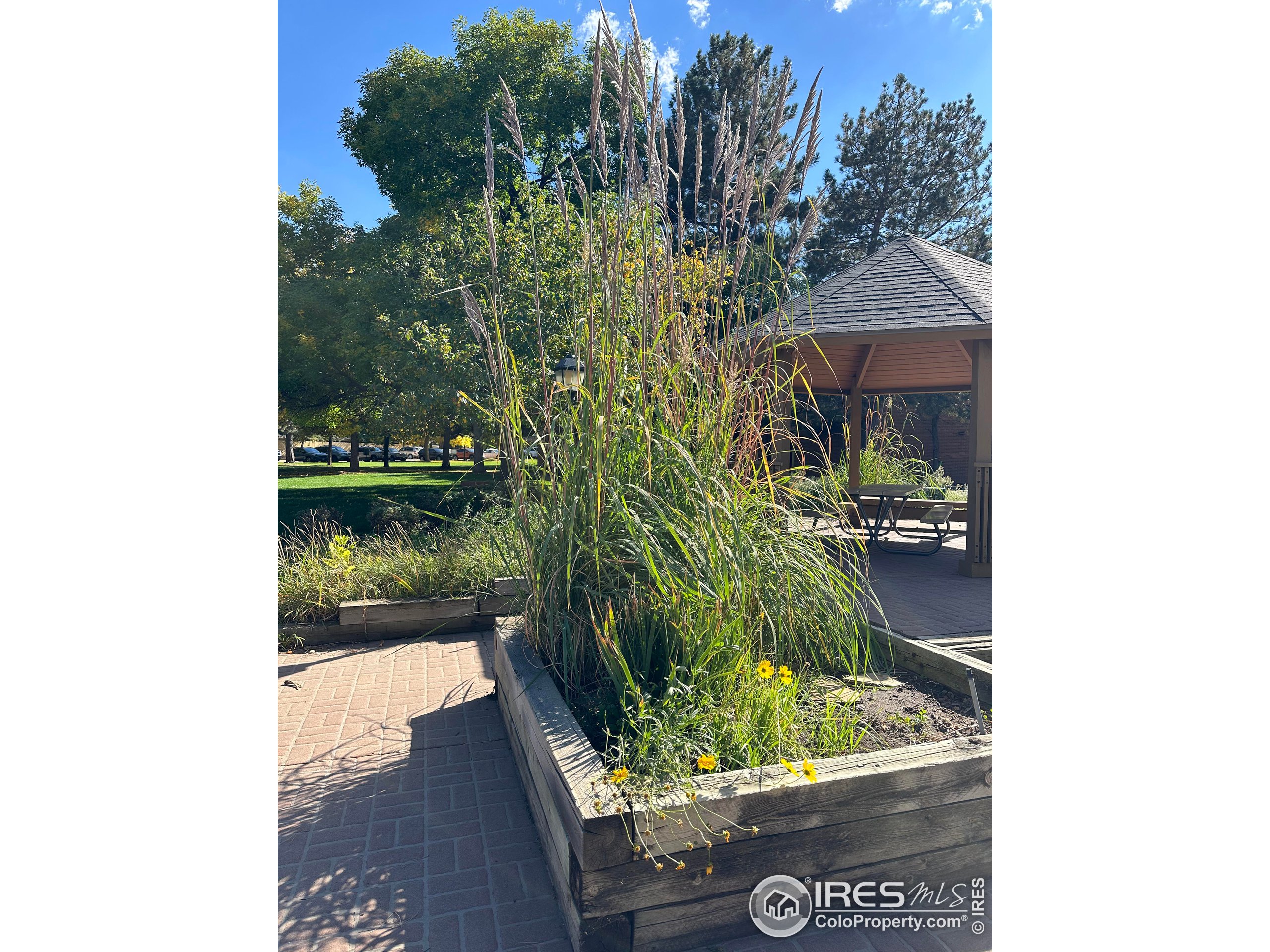 3000 Colorado Ave B-105