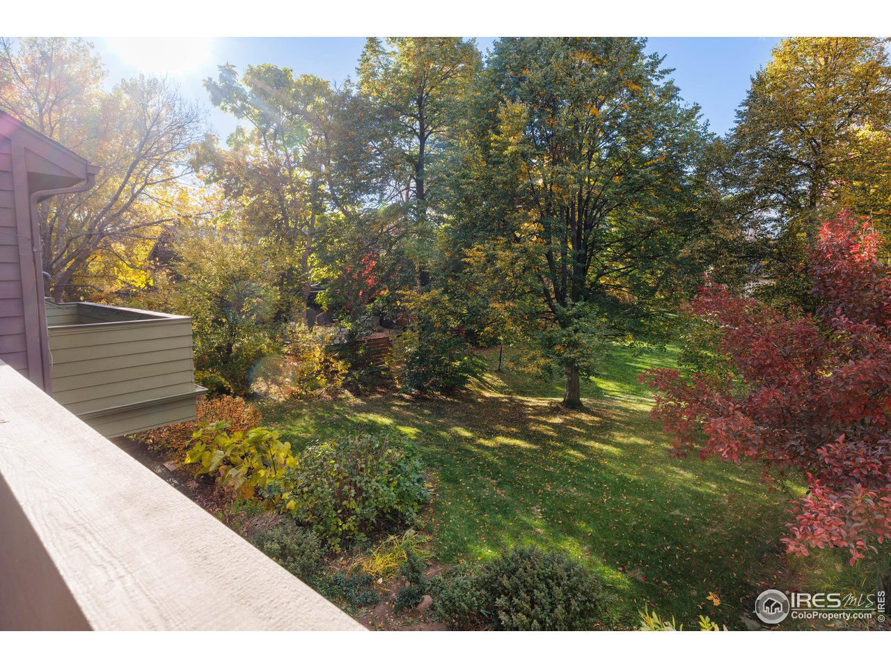 3715 Birchwood Dr 15