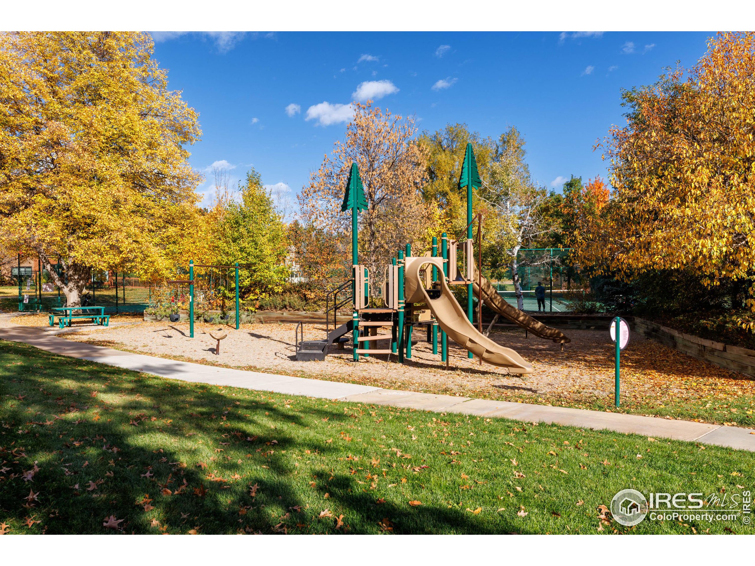 3715 Birchwood Dr 15