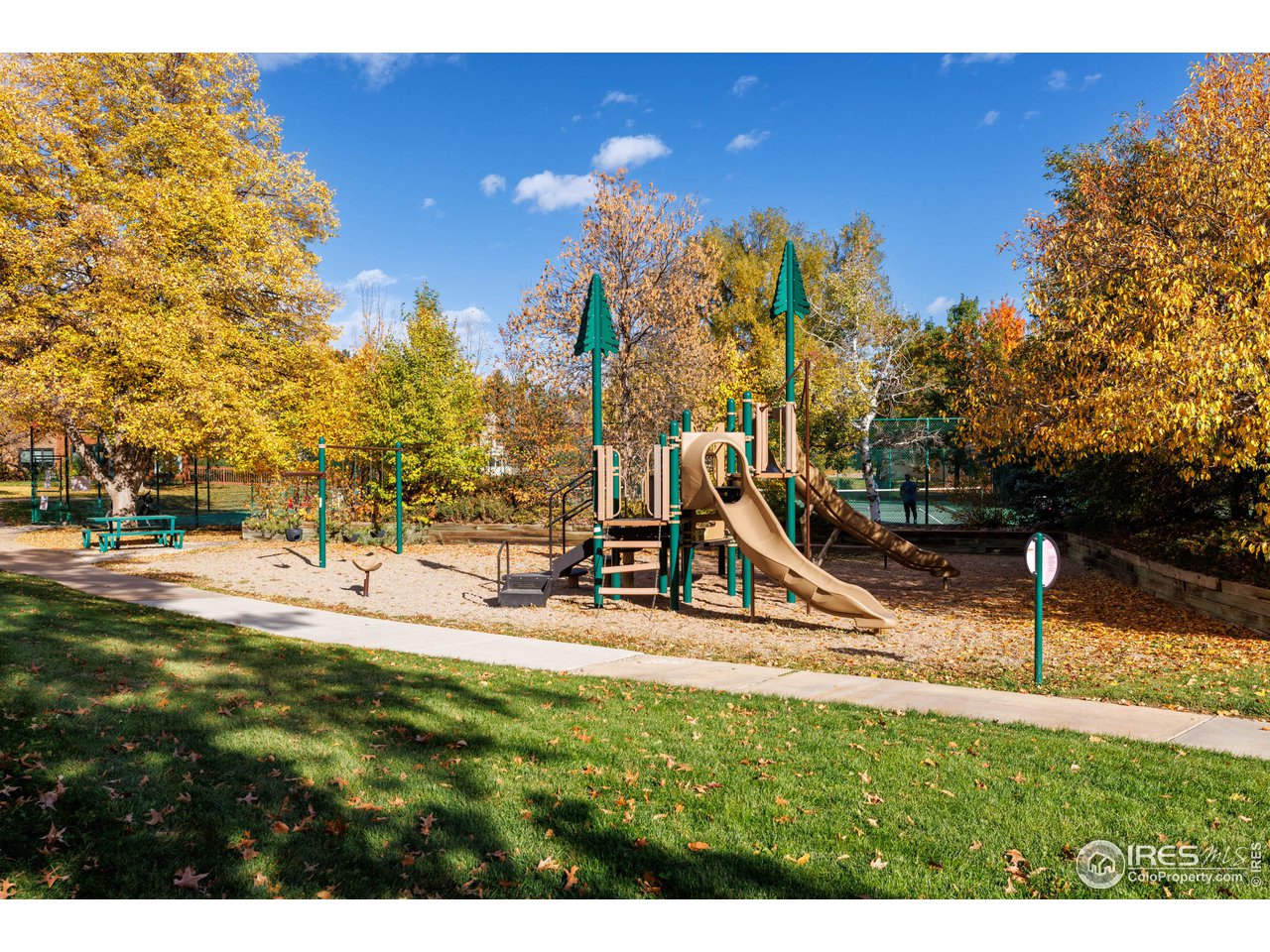 3715 Birchwood Dr 15