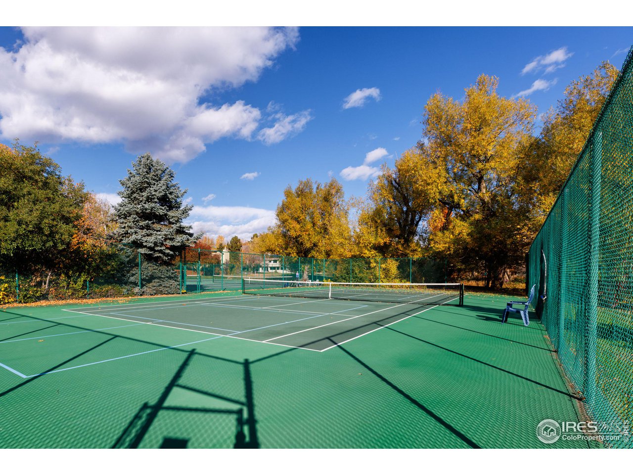 3715 Birchwood Dr 15