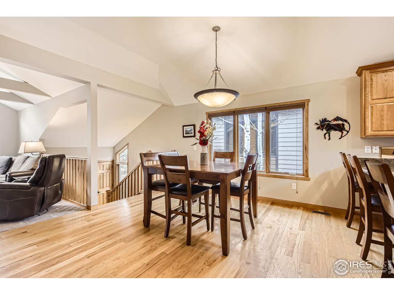609 Park River Pl