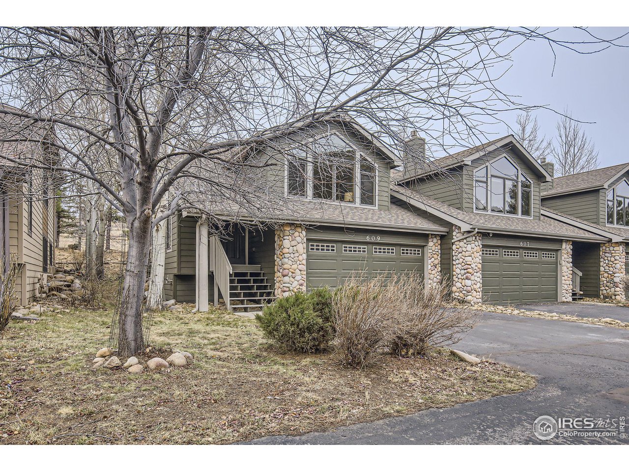 609 Park River Pl
