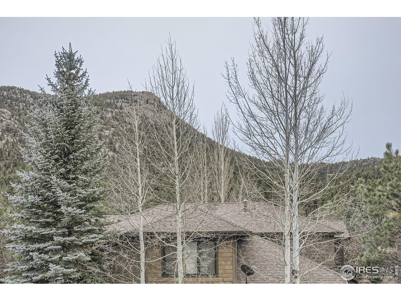 609 Park River Pl