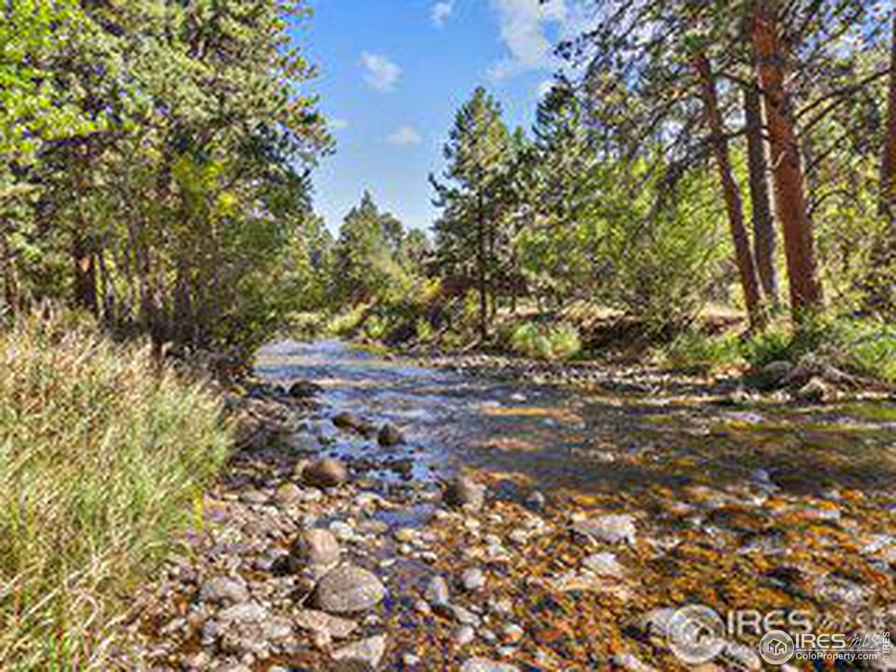 609 Park River Pl