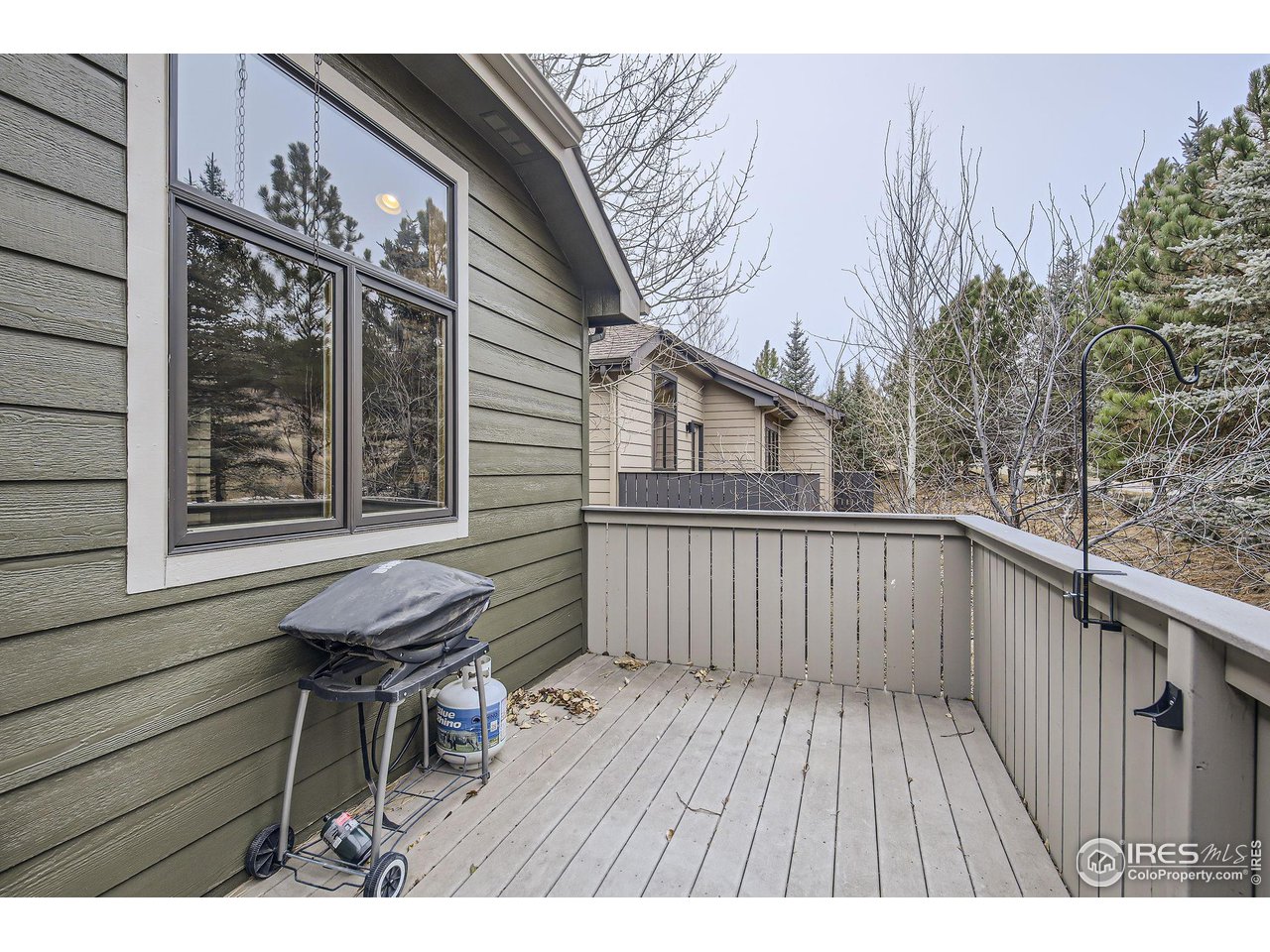 609 Park River Pl