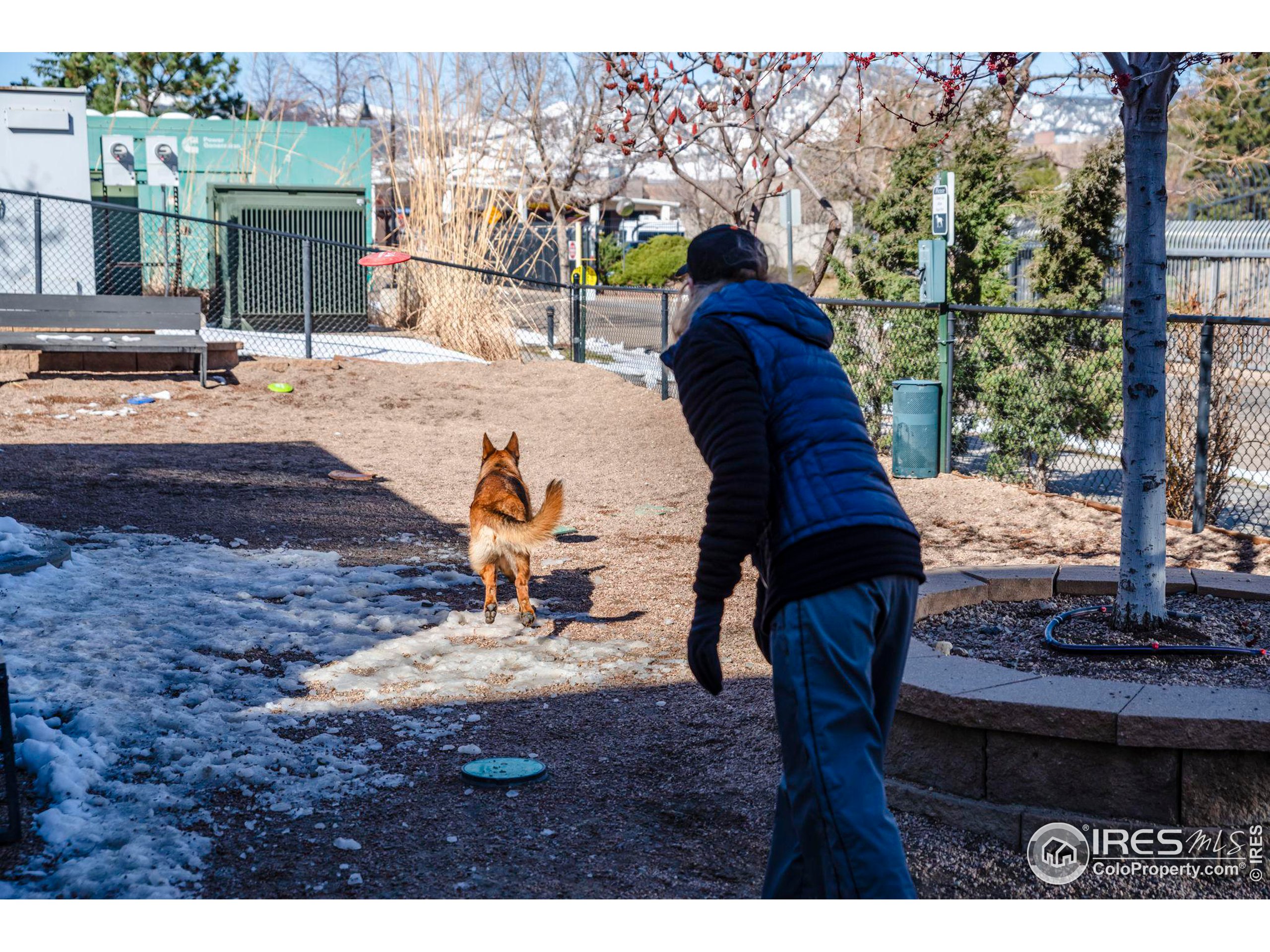 3701 Arapahoe Ave 317