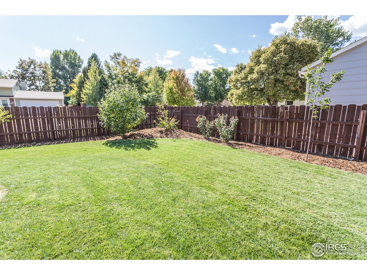4413 Warbler Dr