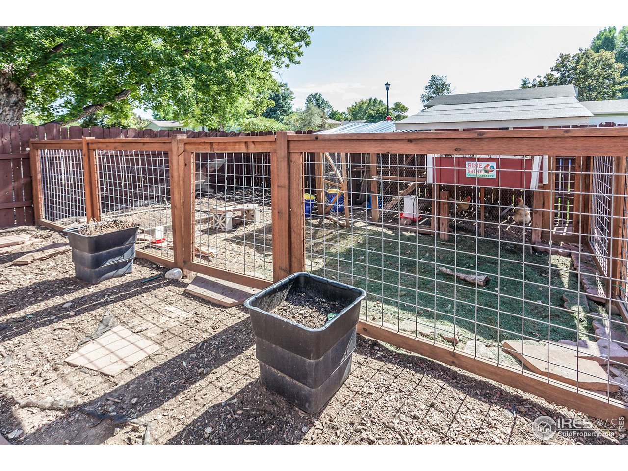 4413 Warbler Dr