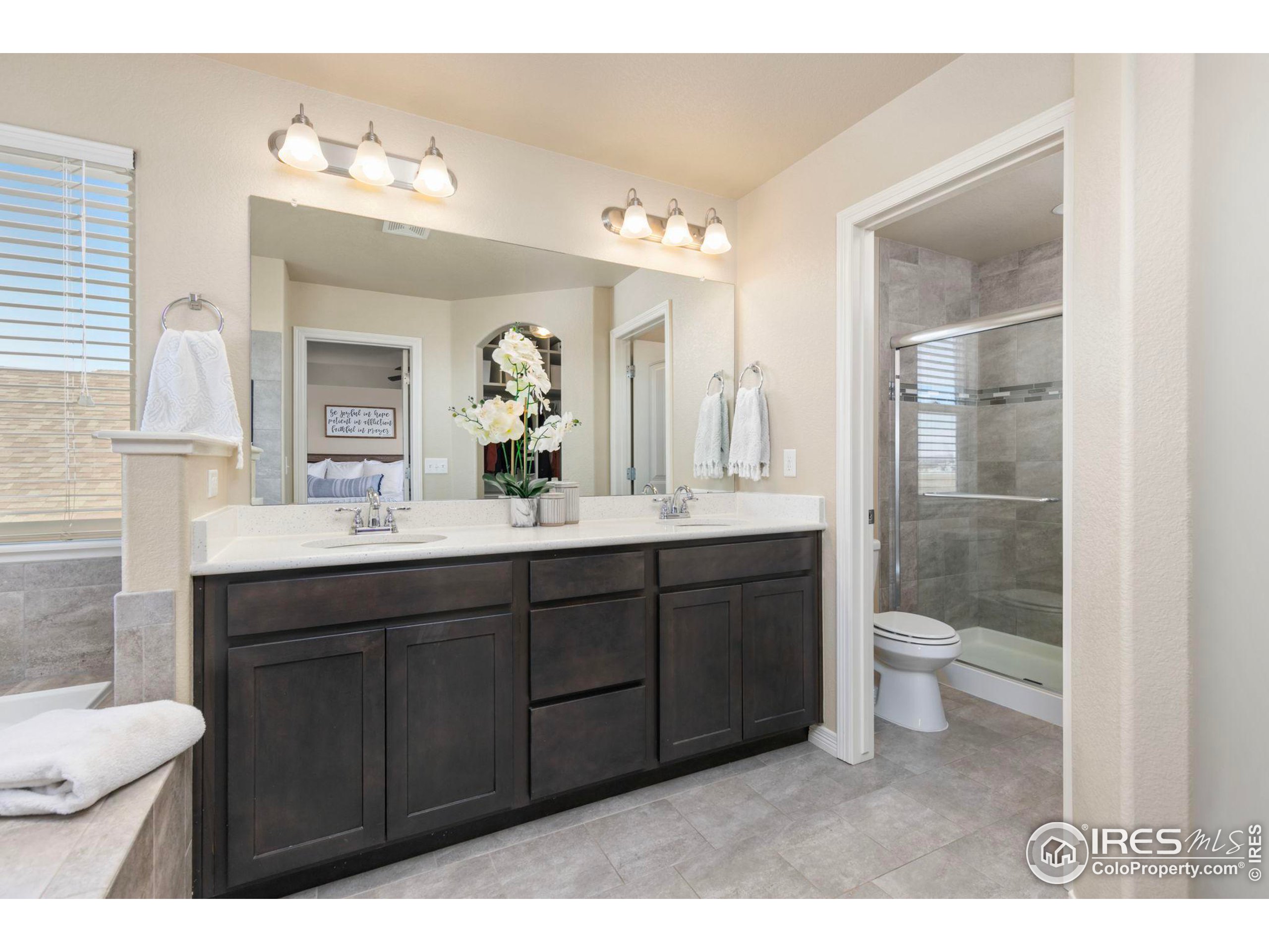 723 Vermilion Peak Ct