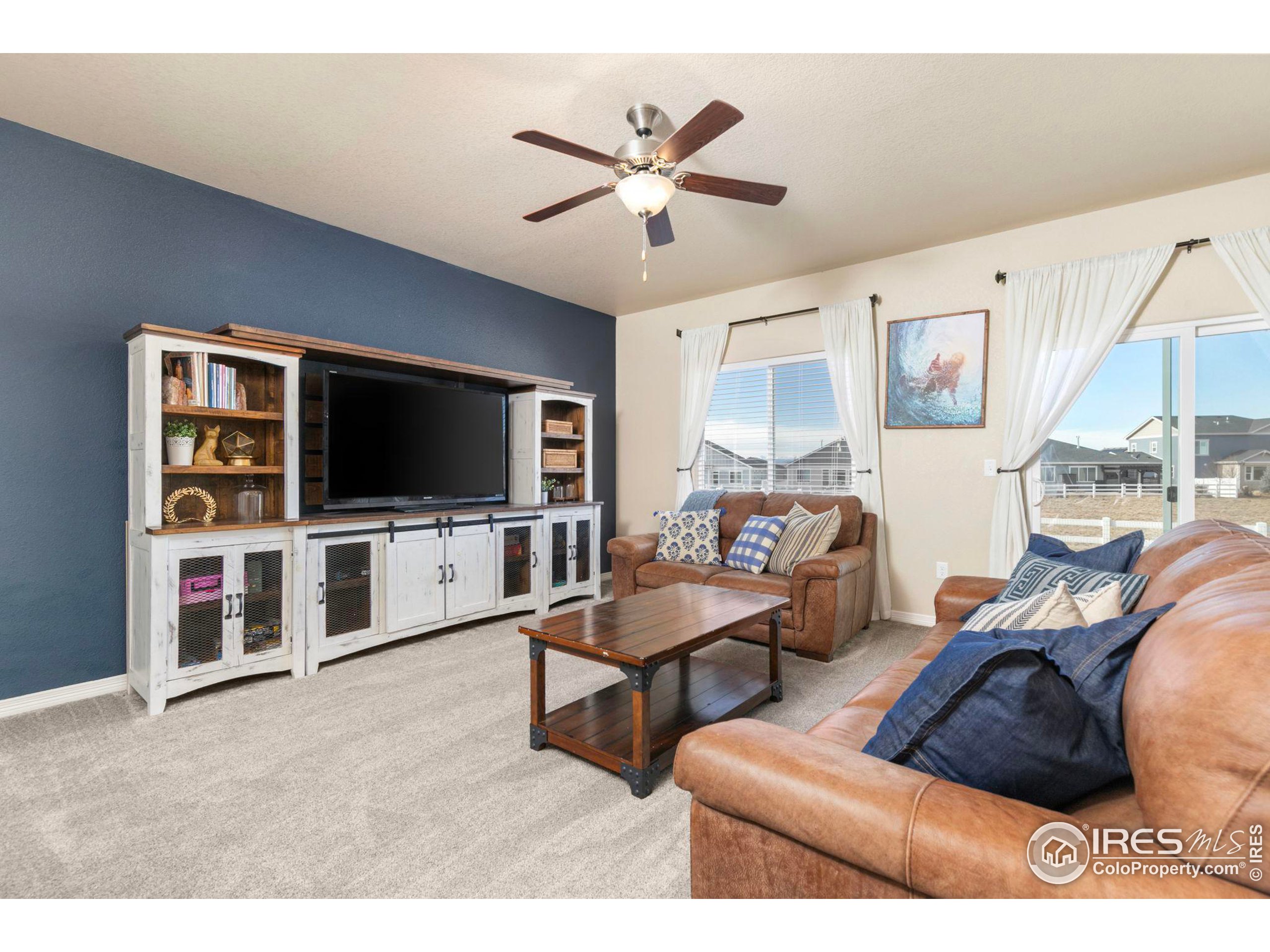 723 Vermilion Peak Ct