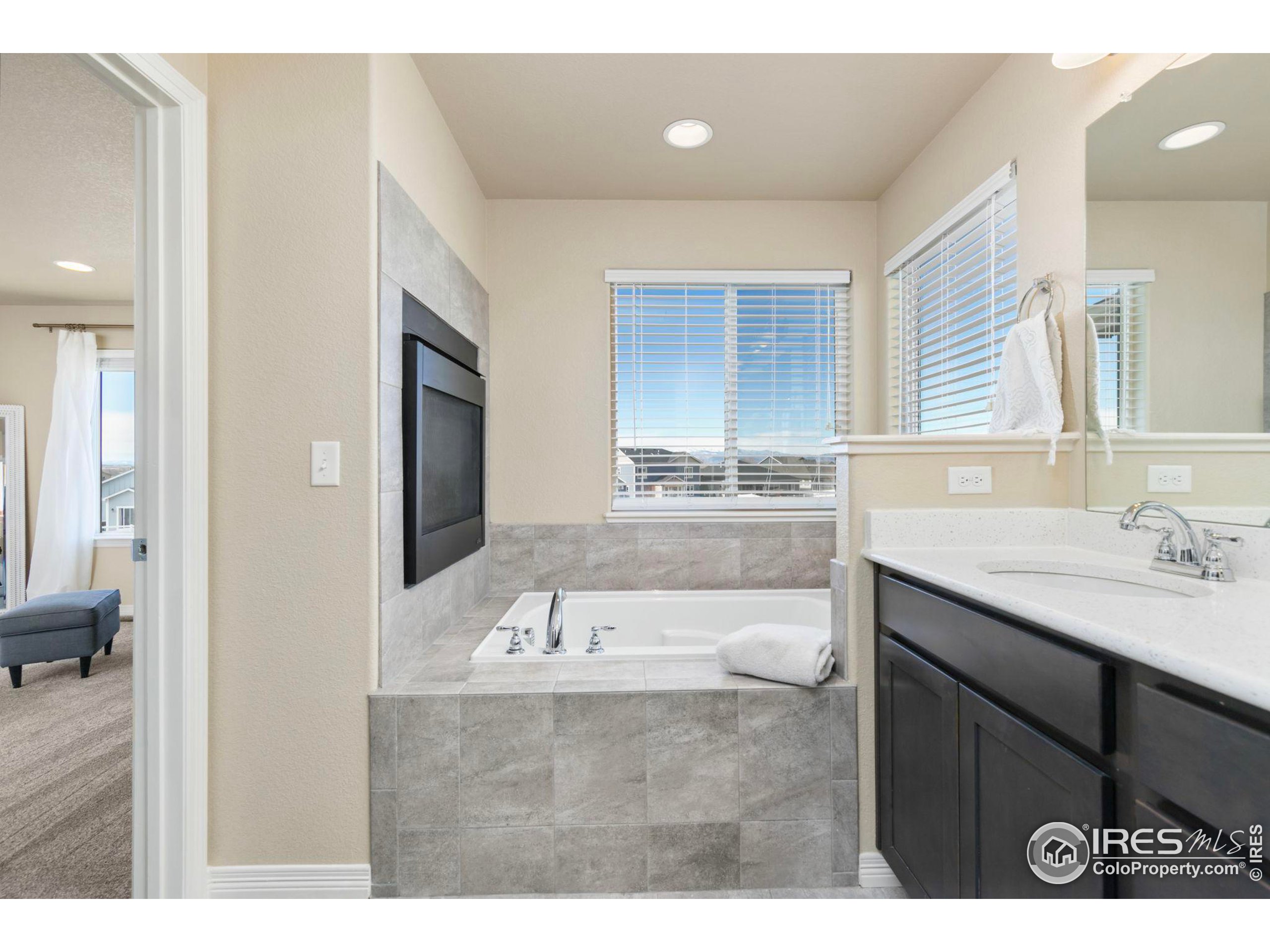 723 Vermilion Peak Ct