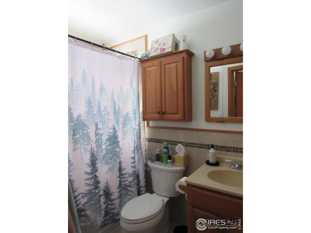 108 Dexter Pl