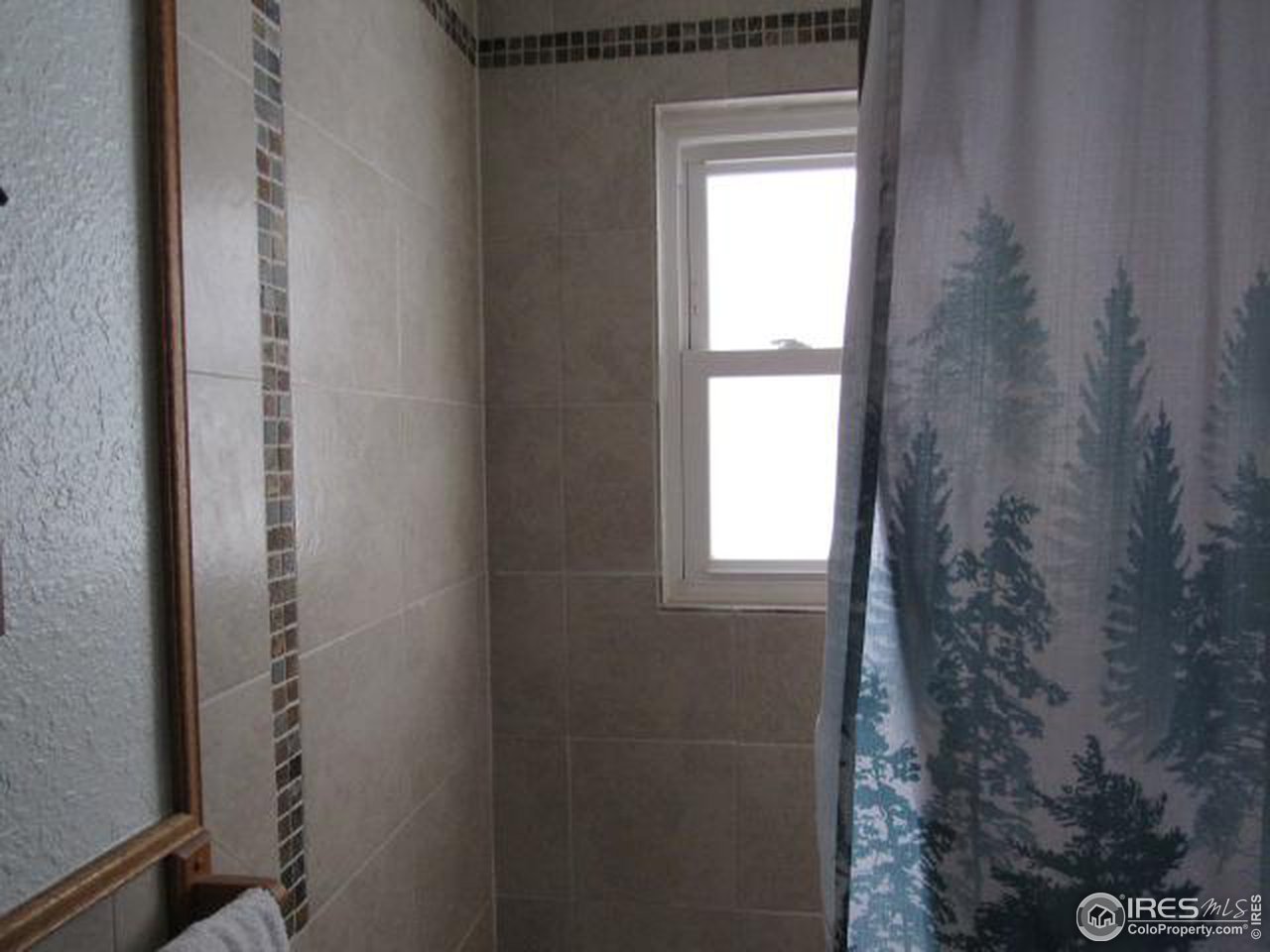 108 Dexter Pl
